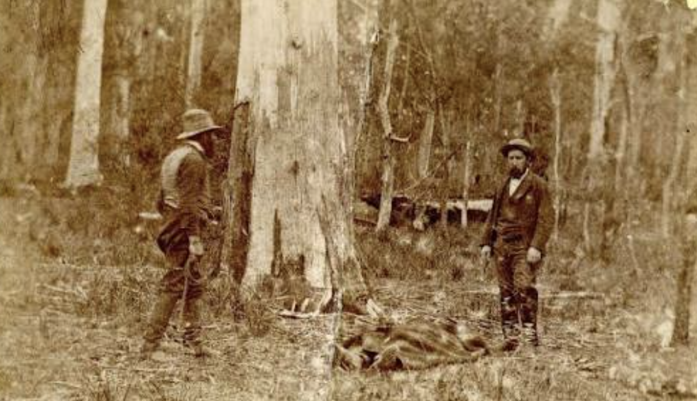 Sepia photograph of two men standing either side of a large tree with a covered body on the ground between them.